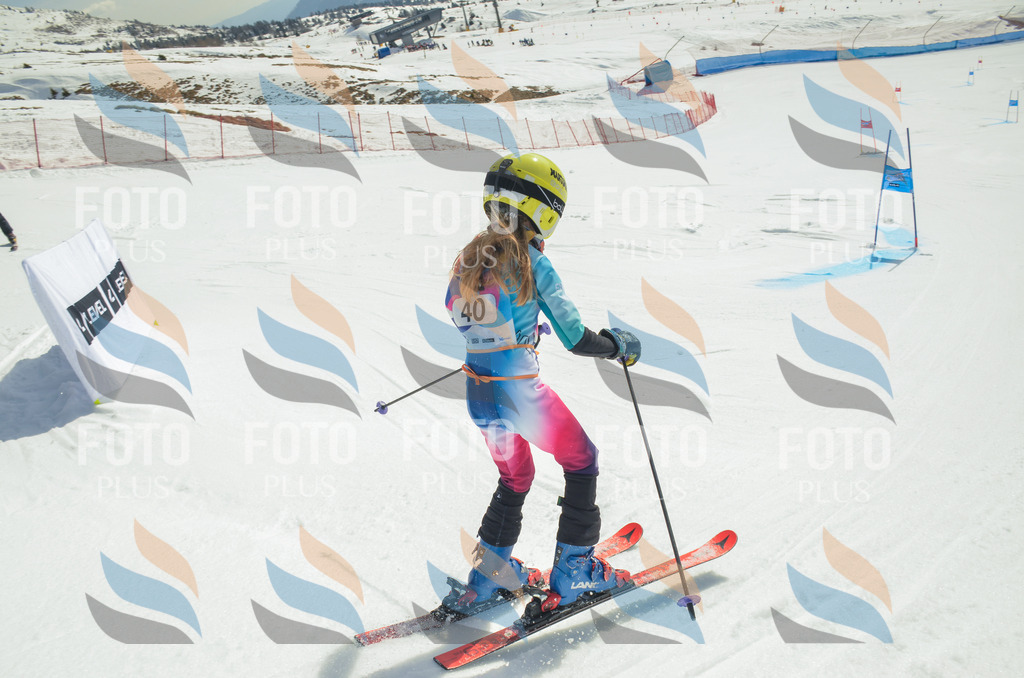 _ELE5026 | holidayphoto