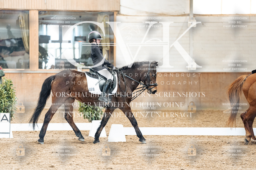 CK900442 | Turnierfotografie Pferdefotografie Trier Rheinland-Pfalz Pferdesport Reitsport Tierfotografie Sportfotografie Pferdevideo Pferdevideografie Equestrianvideography equestrianphotography  - Realisiert mit Pictrs.com