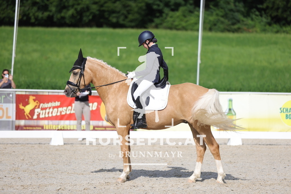 0P6A4705 | Willkommen bei Brunnmayr - Design & Fotografie – Ihrem Spezialisten für Reitturniere und Pferdeveranstaltungen in Oberösterreich, Salzburg und Bayern! Seit über 17 Jahren sind wir leidenschaftlich dabei.