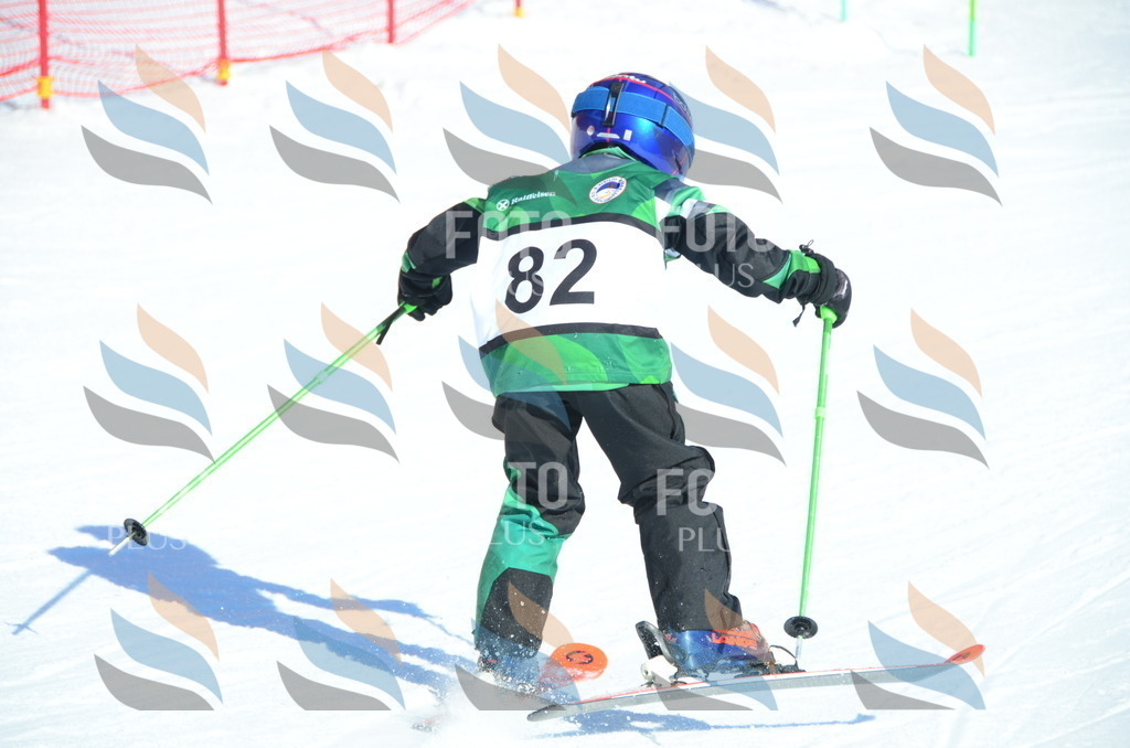 C5599 | holidayphoto