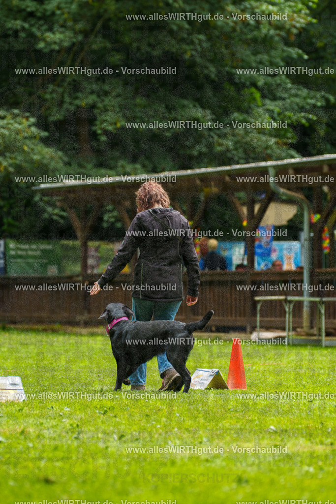 @allesWIRTHgut_Tierfotografie - www.allesWIRTHgut.de - 101631-7R508268 | Professionelle Tierfotografie in Mönchengladbach von Daniel Wirth (allesWIRTHgut). Liebevolle & natürliche Bilder von Hunden & Katzen für unvergessliche Erinnerungen.