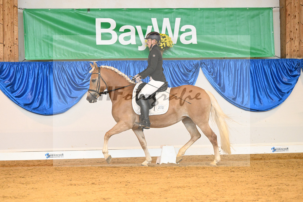 Kat-Nr. 310 Naomi_Hock_54222084 | hf-fotografie - Realisiert mit Pictrs.com