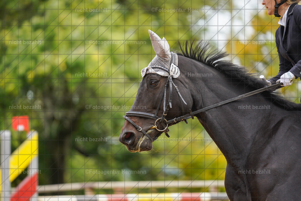 20221009-FAH08663 | Diessen am Ammersee, 2022, Dressur- und Springturnier, Reitsportbilder, Turnierfotografen Bayern, Pferdefotografen, Fotoagentur Herrmann, Turnierbilder