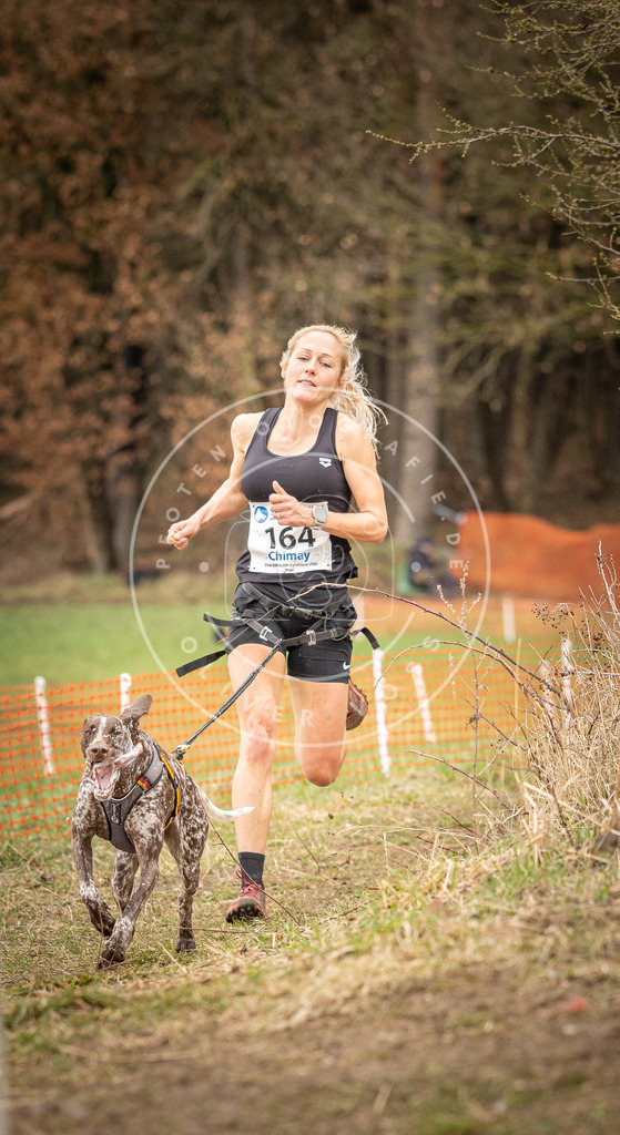 DV3A2036 | Hundefotografie, Tierfotograf, Pfotenfotografie, Fotoshooting Hund, Hunde Portrait, Hundesport, Hundeportraits, Heideshooting, Hunde, Sportfotograf, Hundefotograf, Turnierhundsport, THS,  - Realisiert mit Pictrs.com