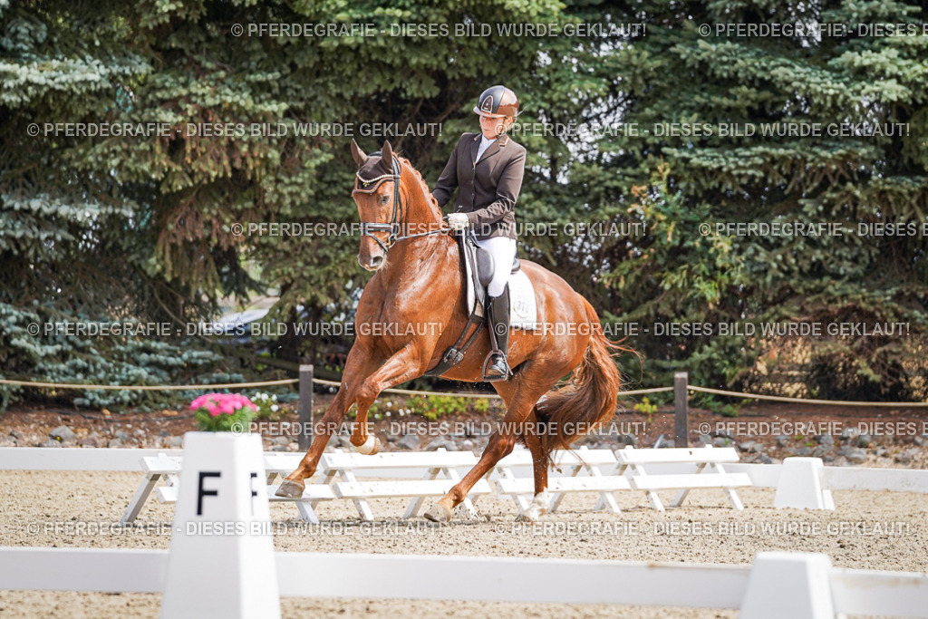 DSC09893 | Pferdegrafie