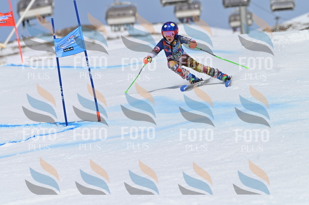 BGV_3415 | holidayphoto