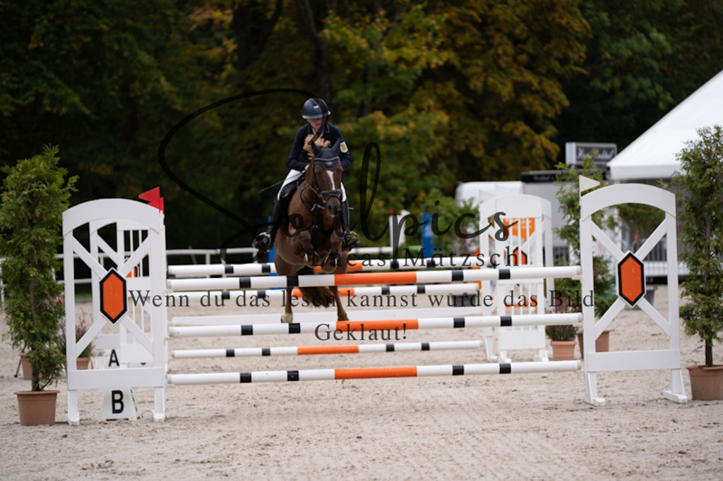 A7V01057 | Pferdefotograf