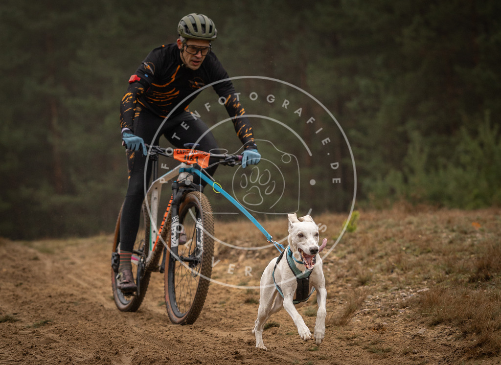 Pfotenfotografie_DV3A2462 | Hundefotografie, Tierfotograf, Pfotenfotografie, Fotoshooting Hund, Hunde Portrait, Hundesport, Hundeportraits, Heideshooting, Hunde, Sportfotograf, Hundefotograf, Turnierhundsport, THS,  - Realisiert mit Pictrs.com