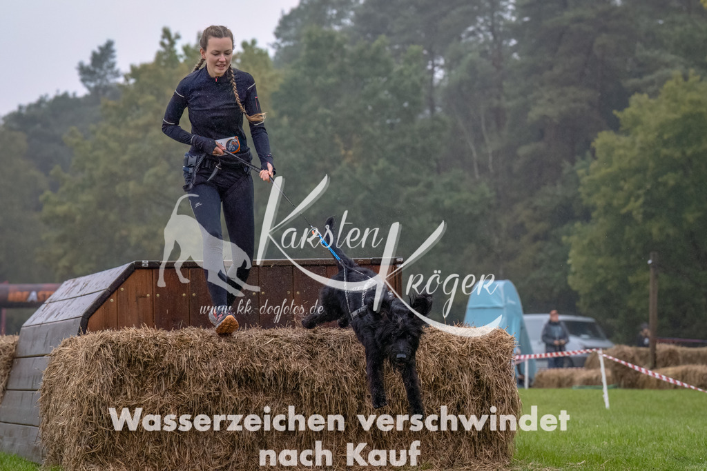 1253--2 | kk-dogfotos