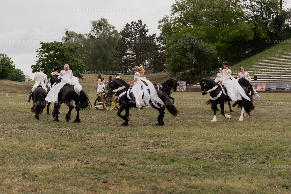 Showprogramm-307 | working equitationturnier fotograf videograf stoibphotography marixx film working equitation deutschland reitsport turnierfotografie eventfotografie equestrian events