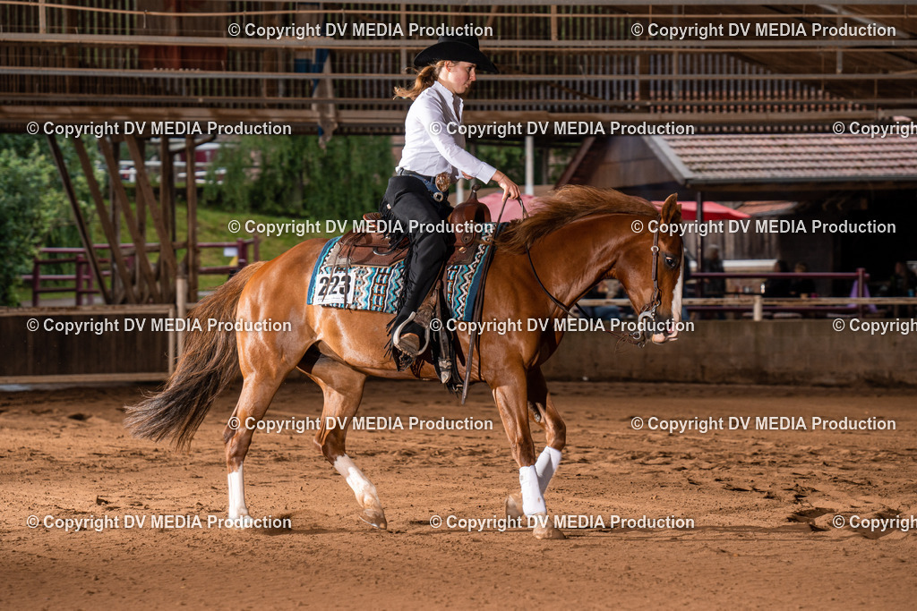 Erbach Tag 2-1008 | dv-media-shop - Realisiert mit Pictrs.com