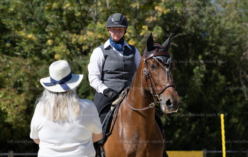 WE_Trail_80_KerstinBernhardt-20 | working equitationturnier fotograf videograf stoibphotography marixx film working equitation deutschland reitsport turnierfotografie eventfotografie equestrian events