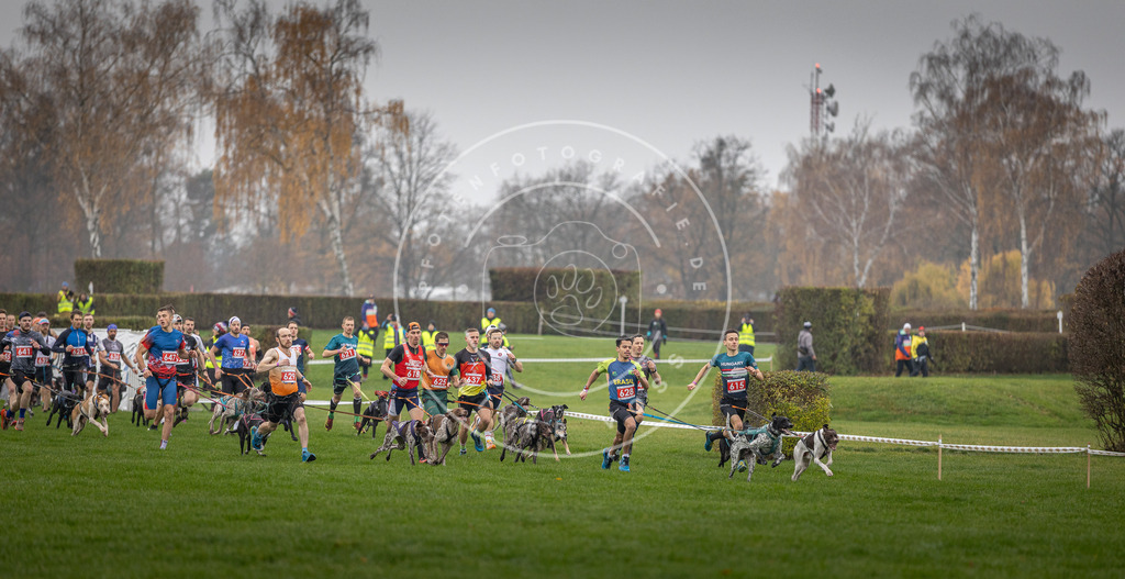 CaniXpix_DV3A9424 | Hundefotografie, Tierfotograf, Pfotenfotografie, Fotoshooting Hund, Hunde Portrait, Hundesport, Hundeportraits, Heideshooting, Hunde, Sportfotograf, Hundefotograf, Turnierhundsport, THS,  - Realisiert mit Pictrs.com