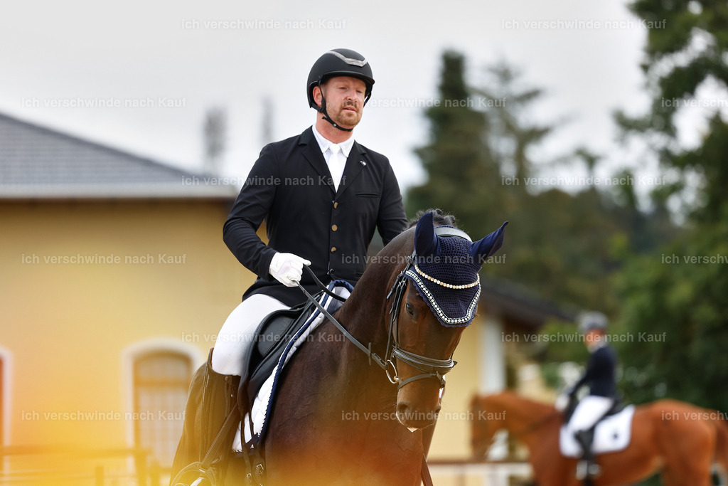 02-053-DRESSUR L_  -StoibPH-4693 | working equitationturnier fotograf videograf stoibphotography marixx film working equitation deutschland reitsport turnierfotografie eventfotografie equestrian events