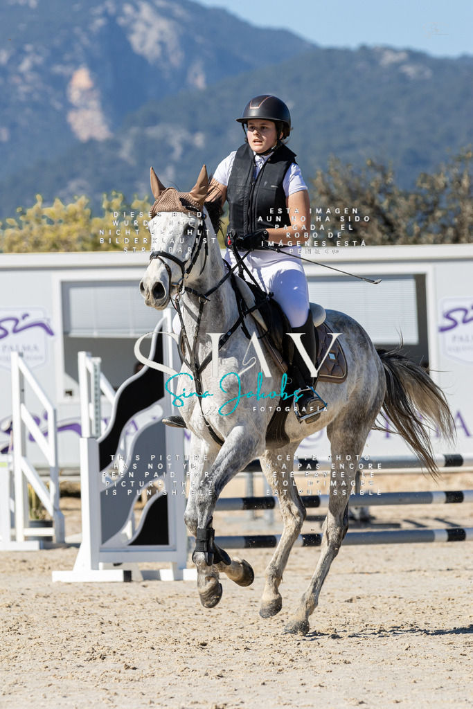 IMG_9381 | s-jay-photography - Realisiert mit Pictrs.com