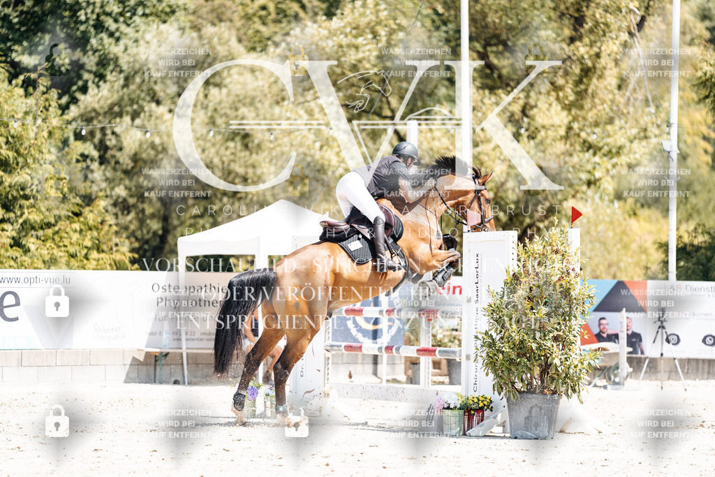CK900583 | Turnierfotografie Pferdefotografie Trier Rheinland-Pfalz Pferdesport Reitsport Tierfotografie Sportfotografie Pferdevideo Pferdevideografie Equestrianvideography equestrianphotography  - Realisiert mit Pictrs.com