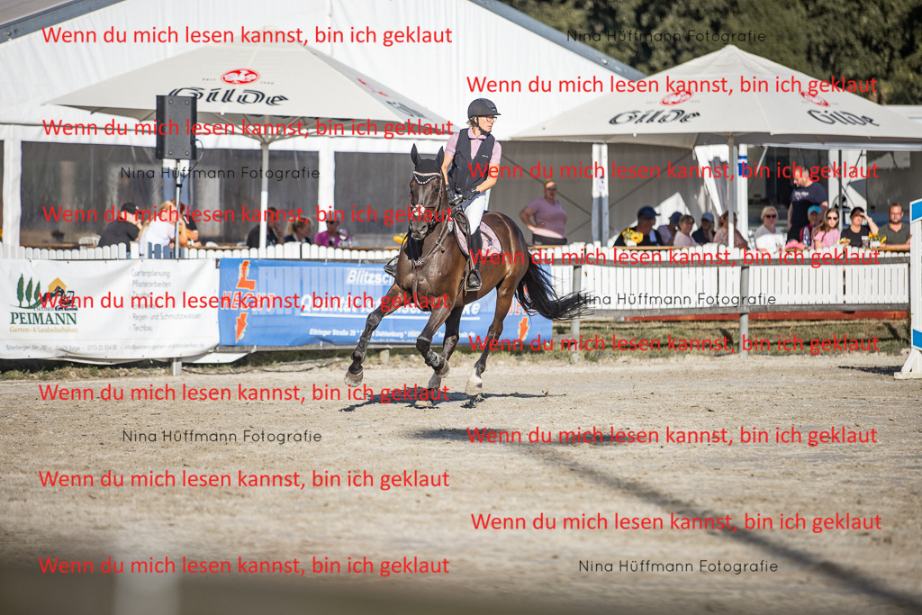 BK1A7723 | Turnierbilder Turnierfotos Nina Hüffmann Turnierfotografie Pferdefotografie Tierzeichnung Haustierzeichnung Pferdezeichnung Hundezeichnung Videograf  - Realisiert mit Pictrs.com