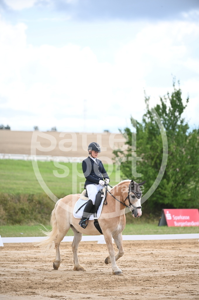 DSC_7371 | sattelsport - Realisiert mit Pictrs.com