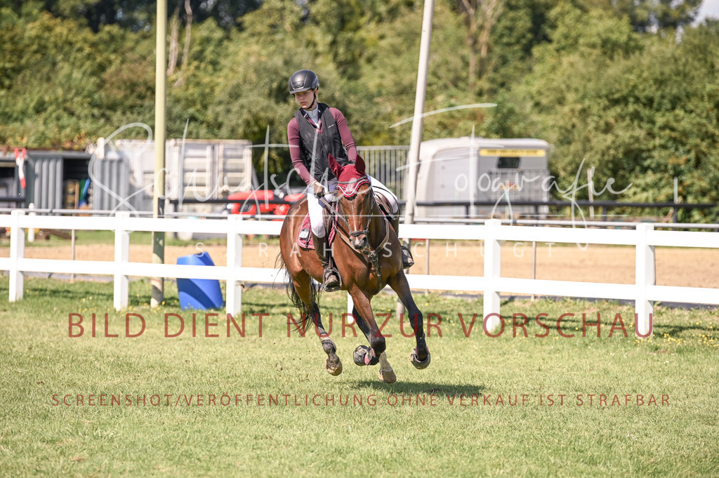 Schugtsche-Düren.2024-05.Springprf.E-25 | Schugtsche Fotografie - Realisiert mit Pictrs.com