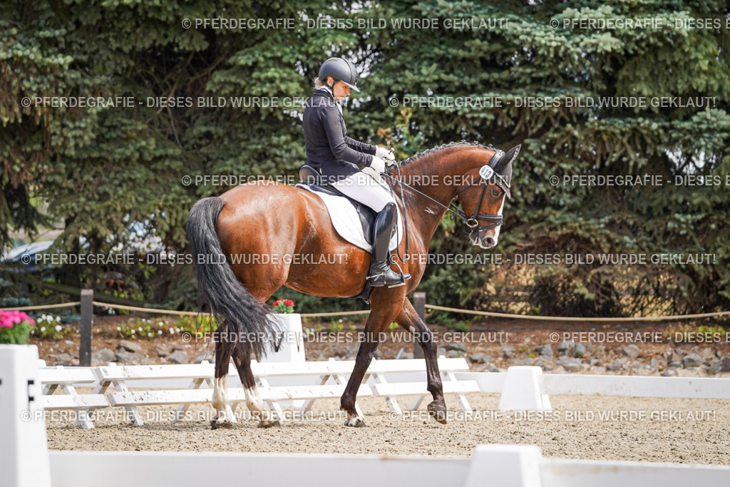 DSC00357 | Pferdegrafie