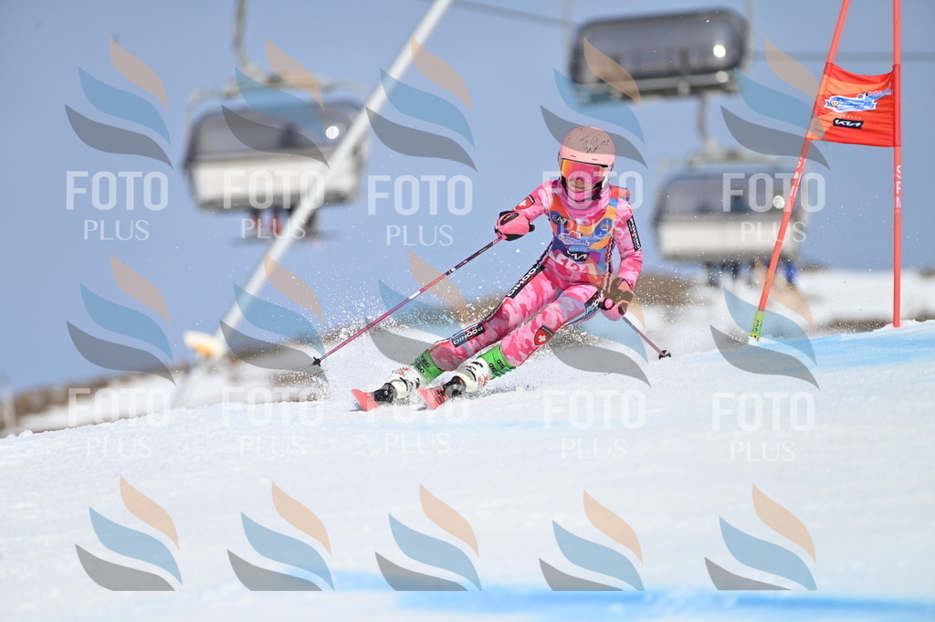 BGV_9993 | holidayphoto