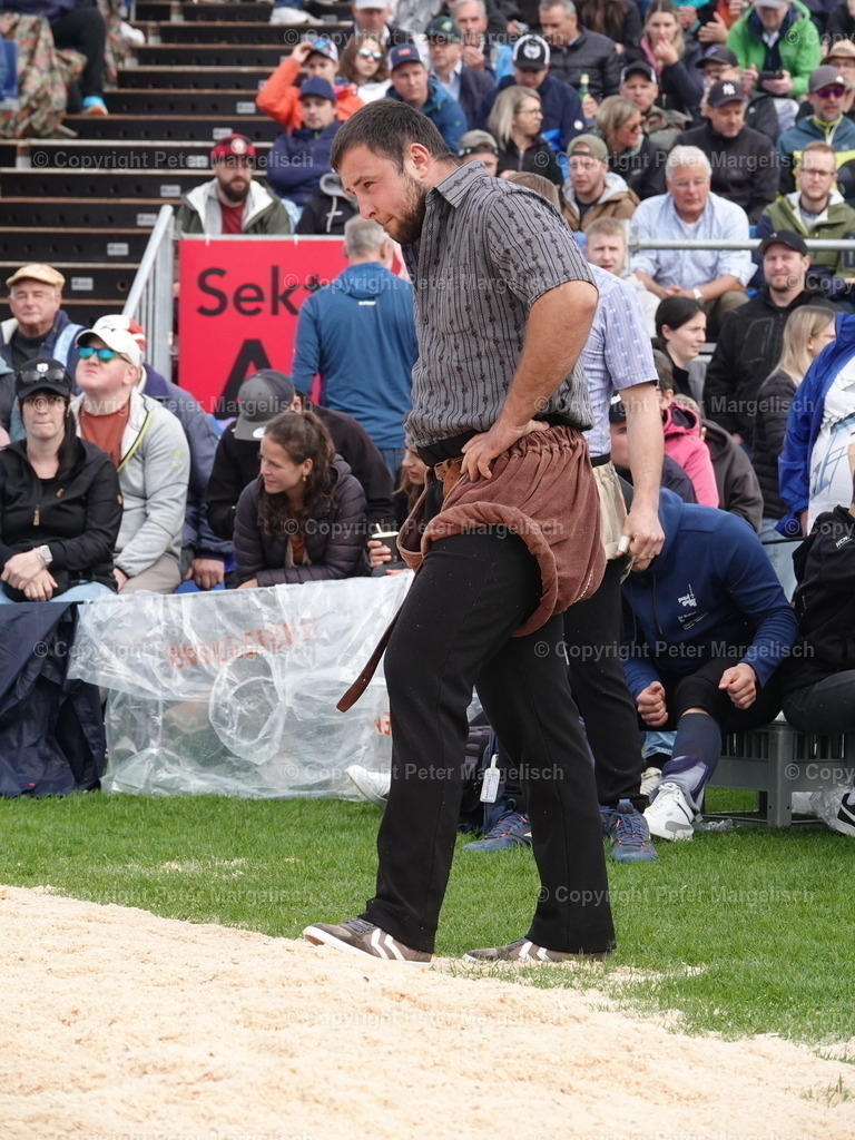 DSC06297 | Schwingen - Realisiert mit Pictrs.com