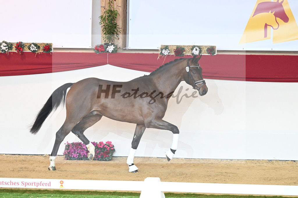 Kat-Nr. 75 Valverde_Schoenland_1230444 | hf-fotografie - Realisiert mit Pictrs.com