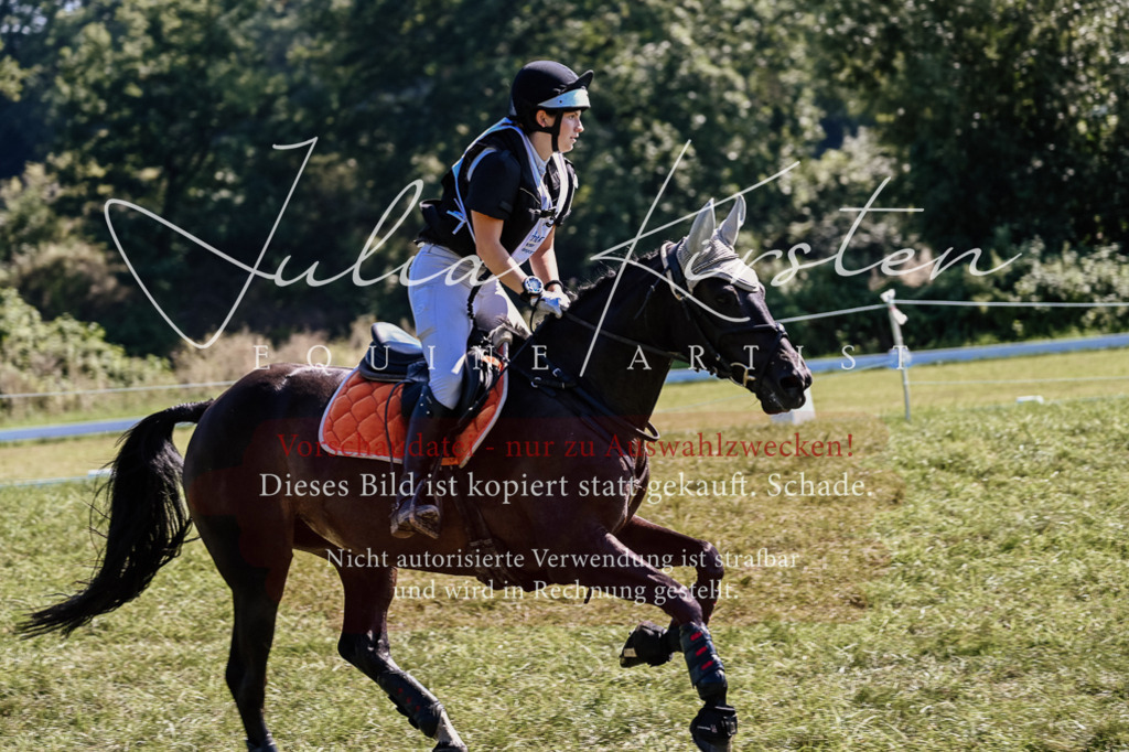 DSC_1815 | Pferde- und Turnierfotografie in Westsachsen. Pferdeportraits, Auftragszeichnungen und intuitive Kunst.