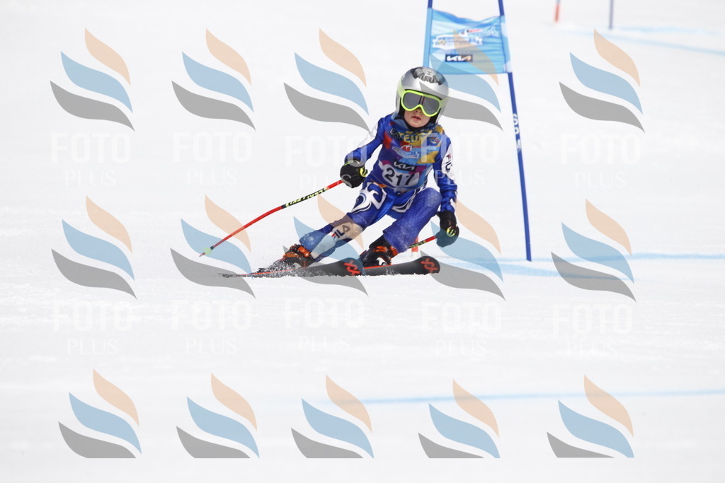 _U3G5595 | holidayphoto