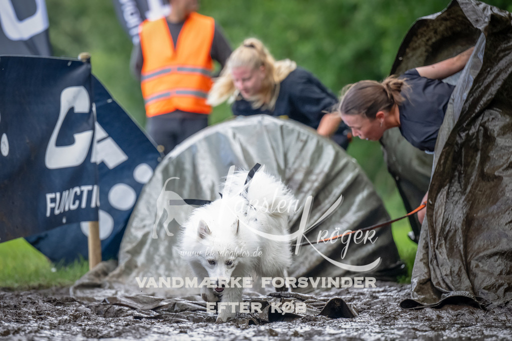 1157_ZZ90496-Bearbeitet | kk-dogfotos