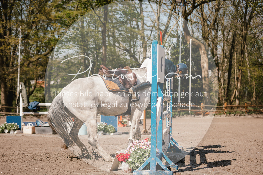 3I6A4052 | Stimmungsvolle Portraits und Reitsportfotografie im Ruhrgebiet und im Münsterland.

Pferdefotografie, Hundefotografie, Tierfotografie, Reportagen, Portraits von Tier und Mensch, Turnierfotografie in Bochum, Recklinghausen, Marl, Haltern am See, Dülmen.. - Realisiert mit Pictrs.com