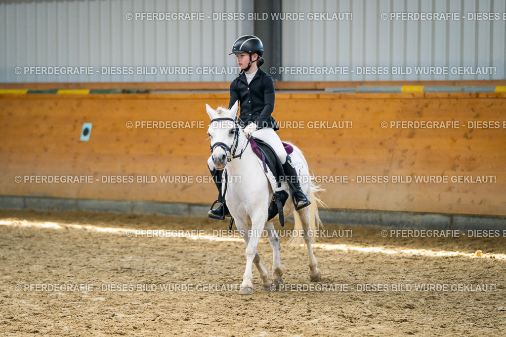 DSC02244 | Pferdegrafie