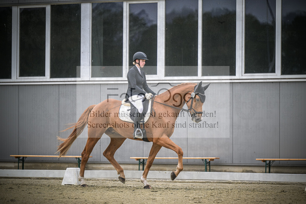 DOS_0436 | Entdecke hochwertige Reitturnierfotos von Foto Oger. Professionell, emotional und authentisch – jetzt Lieblingsmomente im Shop bestellen.Deutschlandweite Turnierfotografie. - Realisiert mit Pictrs.com
