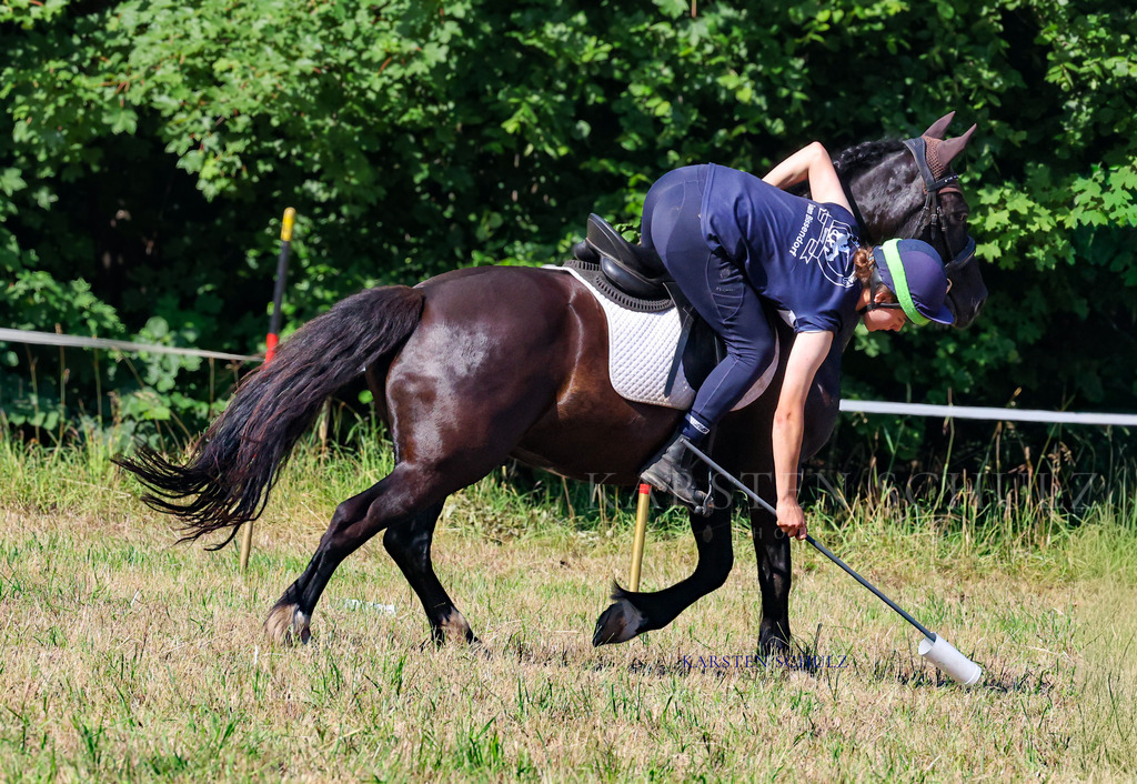 1B3A7977 | Reitsport Reiten