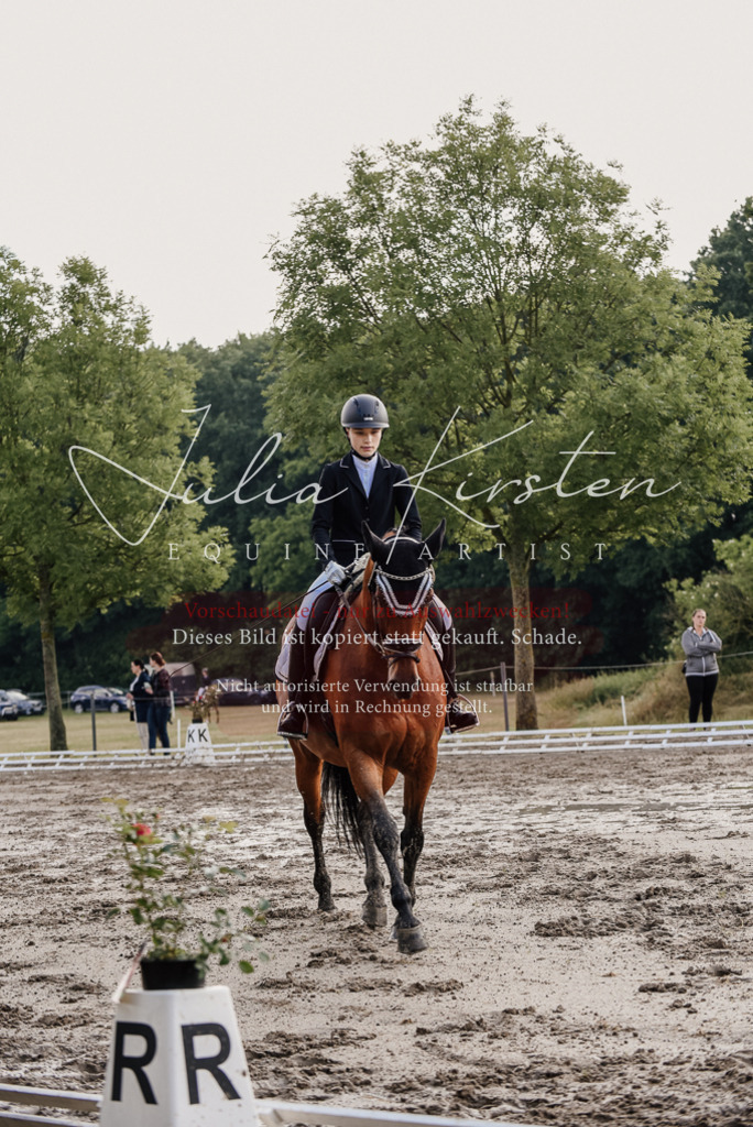 DSC_8158 | Pferde- und Turnierfotografie in Westsachsen. Pferdeportraits, Auftragszeichnungen und intuitive Kunst.