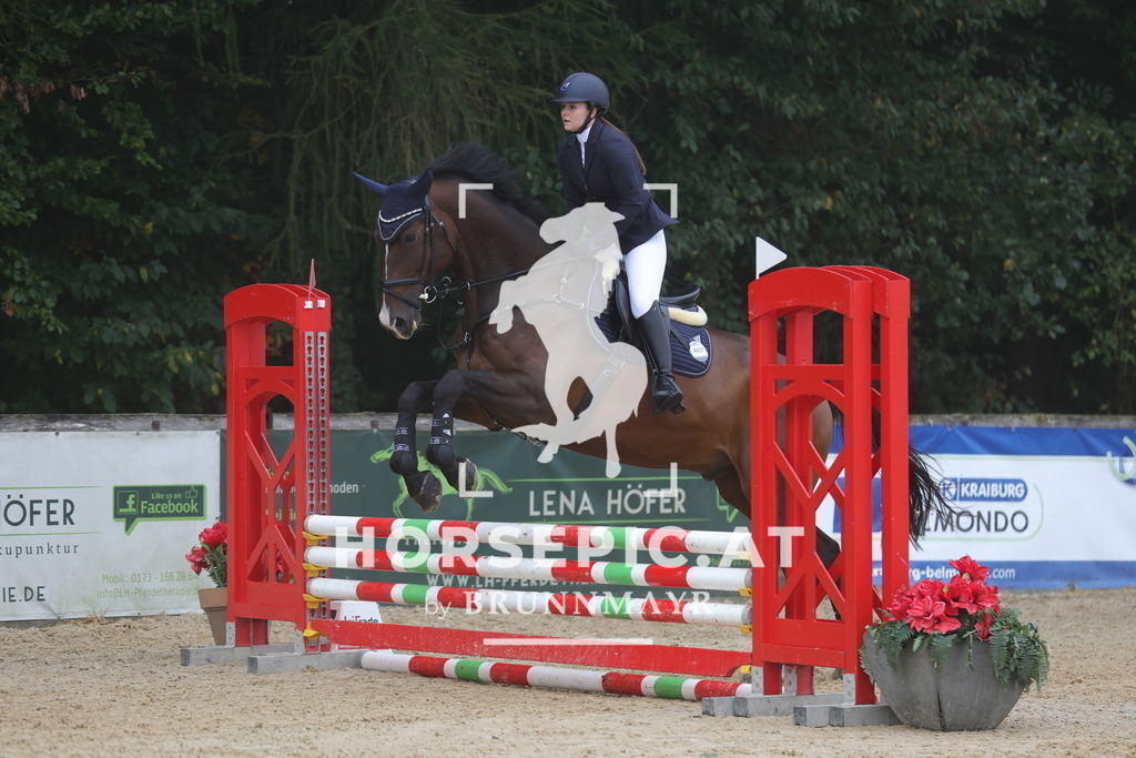 0P6A0706 | Willkommen bei Brunnmayr - Design & Fotografie – Ihrem Spezialisten für Reitturniere und Pferdeveranstaltungen in Oberösterreich, Salzburg und Bayern! Seit über 17 Jahren sind wir leidenschaftlich dabei.