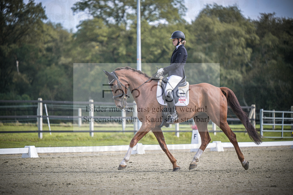 DOS_B665 | Entdecke hochwertige Reitturnierfotos von Foto Oger. Professionell, emotional und authentisch – jetzt Lieblingsmomente im Shop bestellen.Deutschlandweite Turnierfotografie. - Realisiert mit Pictrs.com