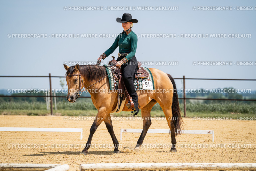 DSC01273 | Pferdegrafie