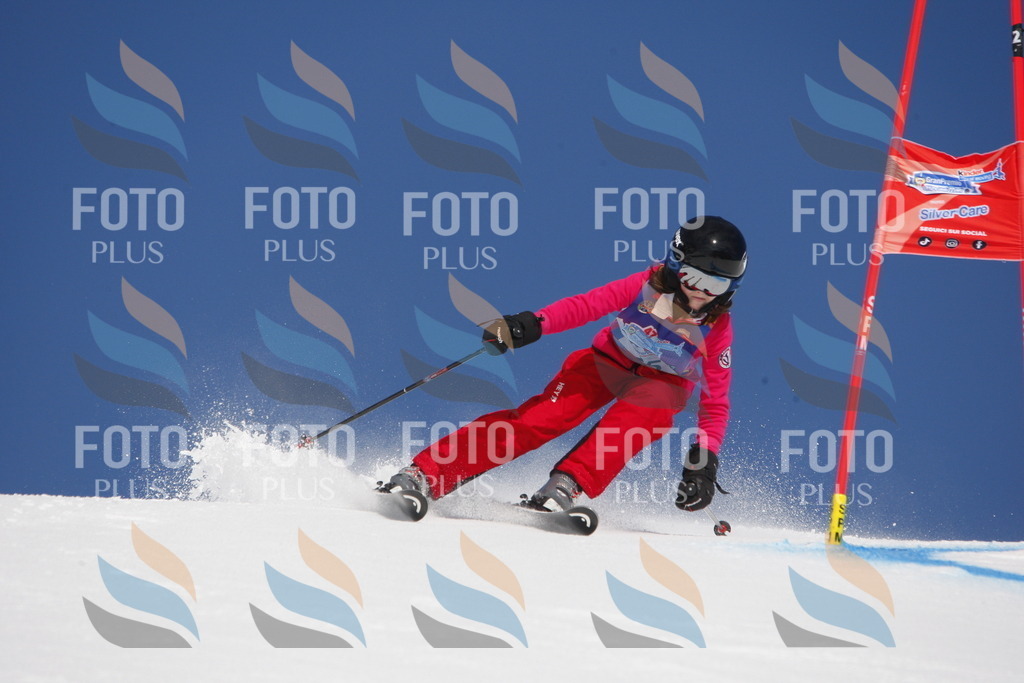 _W1G1102 | holidayphoto