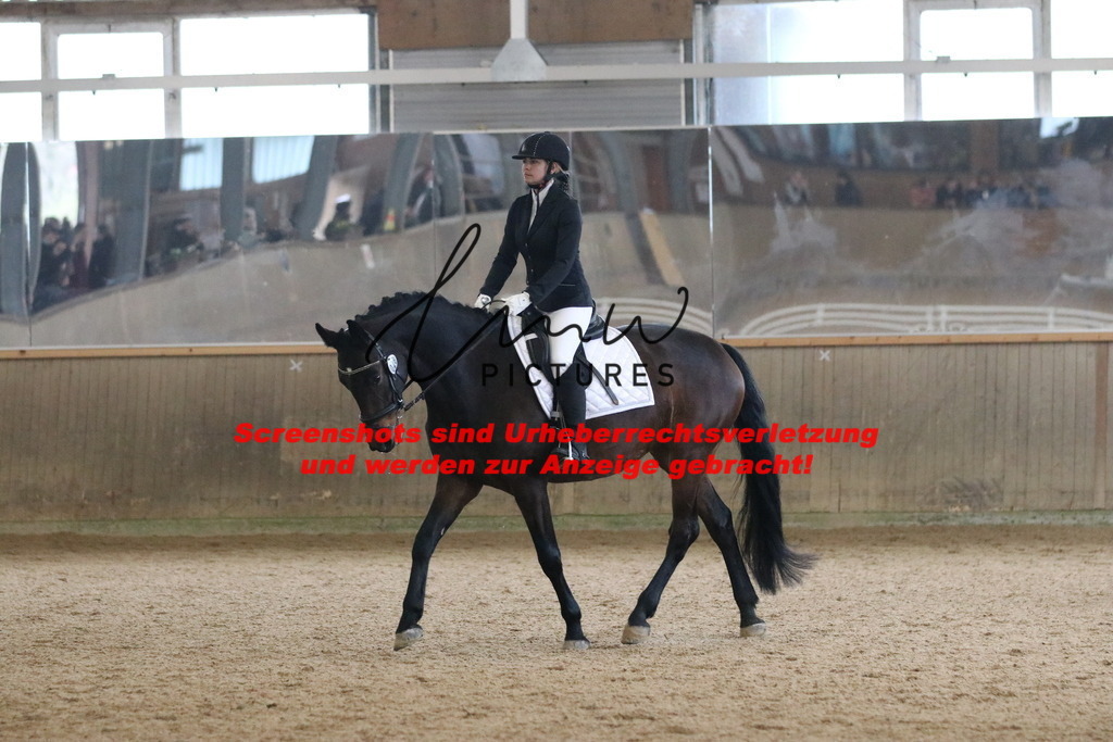 IMG_3851 | lmwpictures - Realisiert mit Pictrs.com