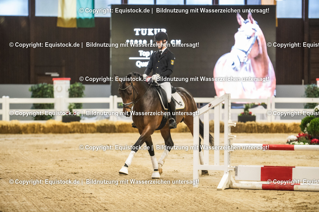 20240302_Hengstvorstellung_Marbach_TOMsPiC_0137-2 | equistock