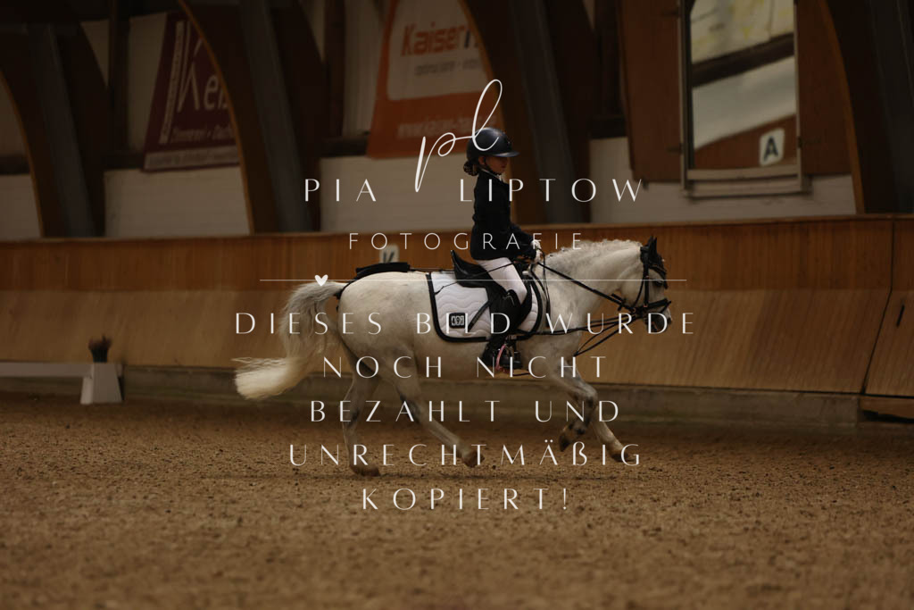 IMGM9237 | pl-fotografie