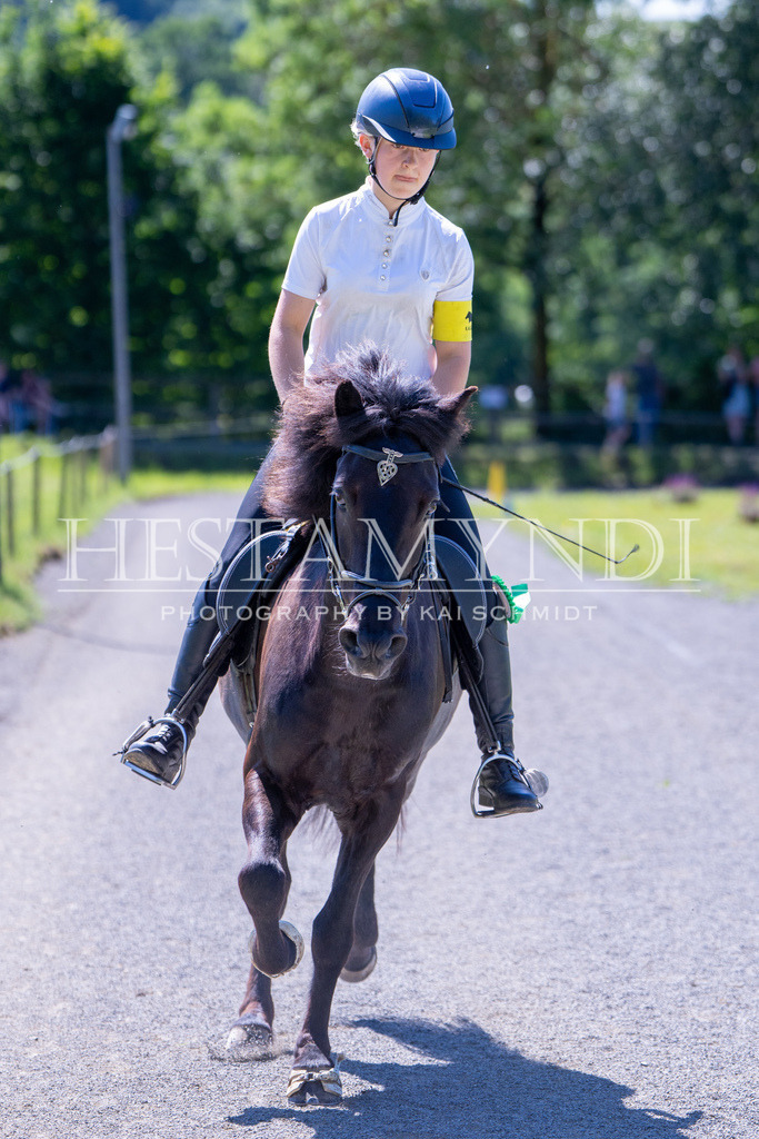 KAI09813 | Ihr sucht einen Fotografen für eure nächste OSI? Ich begleite auch euer Turnier für Islandpferde fotografisch.  - Realisiert mit Pictrs.com