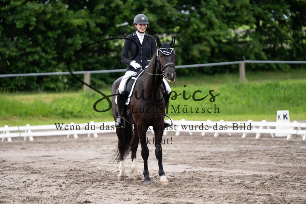 A7V03727 | Pferdefotograf