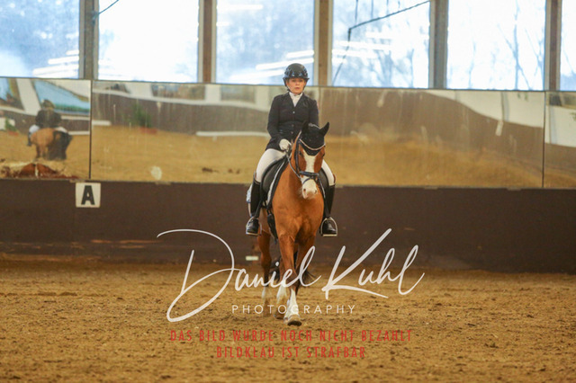 IMG_7132 | Turniersportfotografie; Pferdefotografie; Dressurfotografie