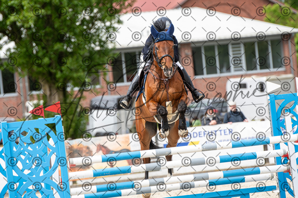 KPT_9866 | andre_photographic