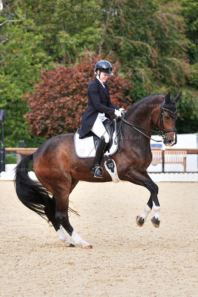 11-091-Dressur S___-Marixx-1635 | working equitationturnier fotograf videograf stoibphotography marixx film working equitation deutschland reitsport turnierfotografie eventfotografie equestrian events