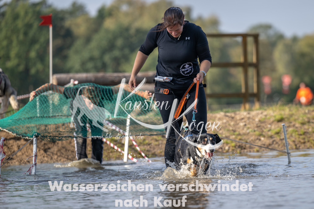 1032_ZZ93902 | kk-dogfotos