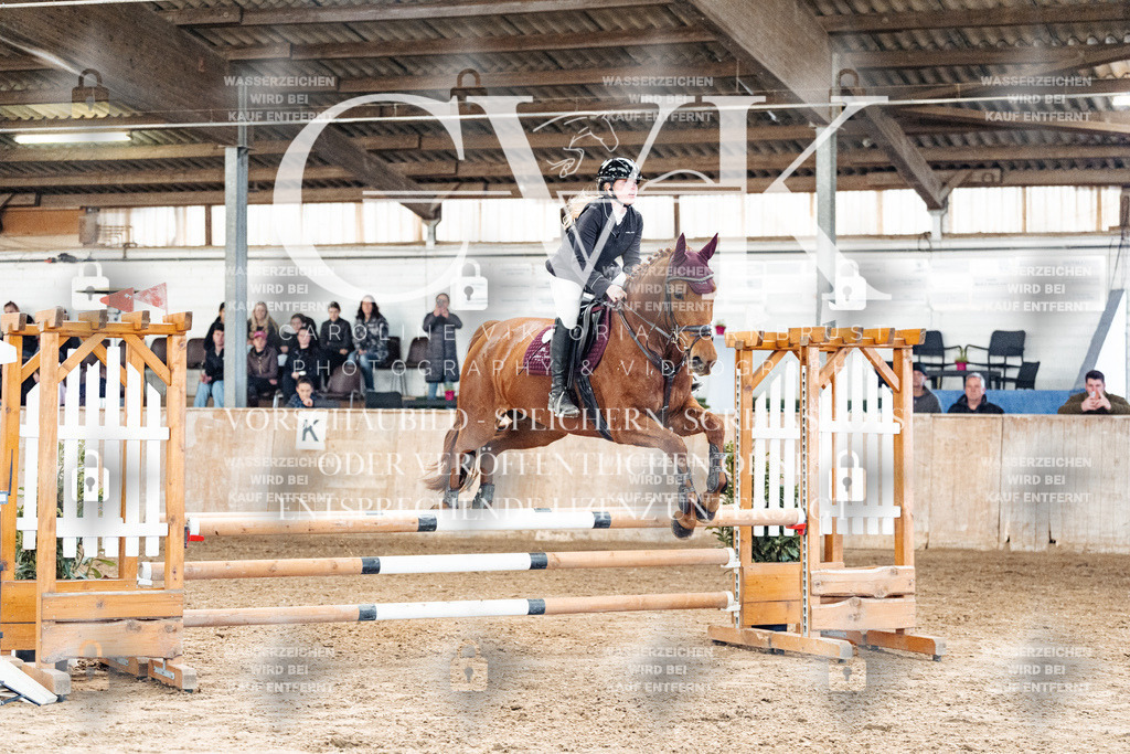 CK904736 | Turnierfotografie Pferdefotografie Trier Rheinland-Pfalz Pferdesport Reitsport Tierfotografie Sportfotografie Pferdevideo Pferdevideografie Equestrianvideography equestrianphotography  - Realized with Pictrs.com