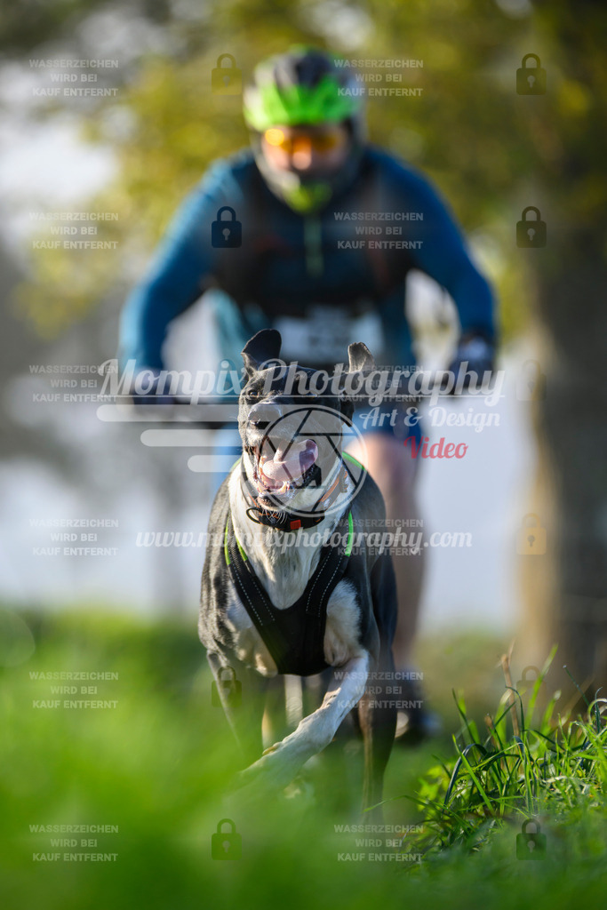 MompixPhotography_20TSB_E3_Bike-155 | PayLife